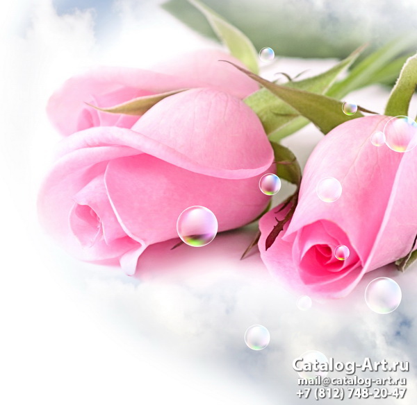 Pink roses 61